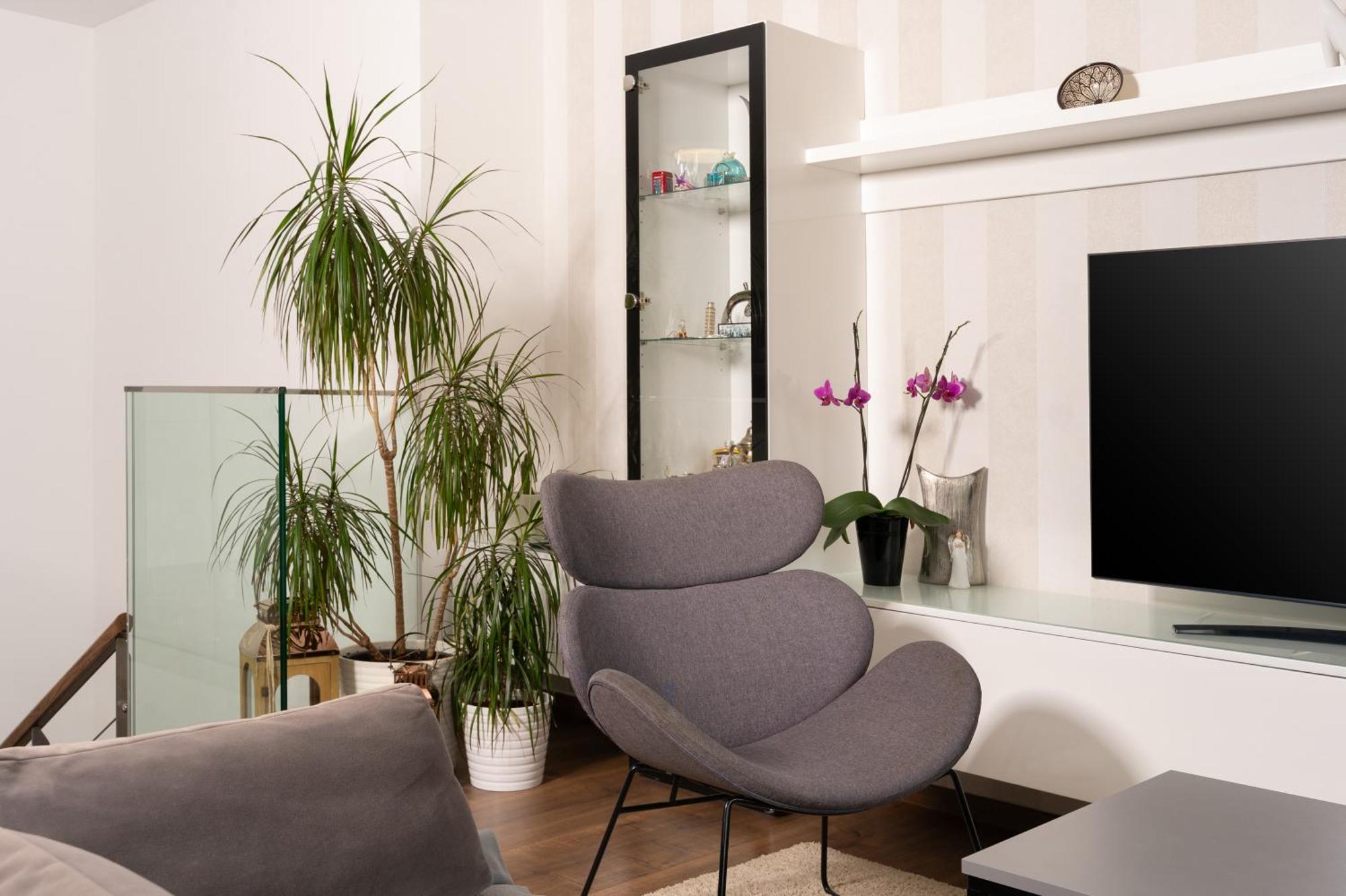 Apartments Palma Rabac Dış mekan fotoğraf